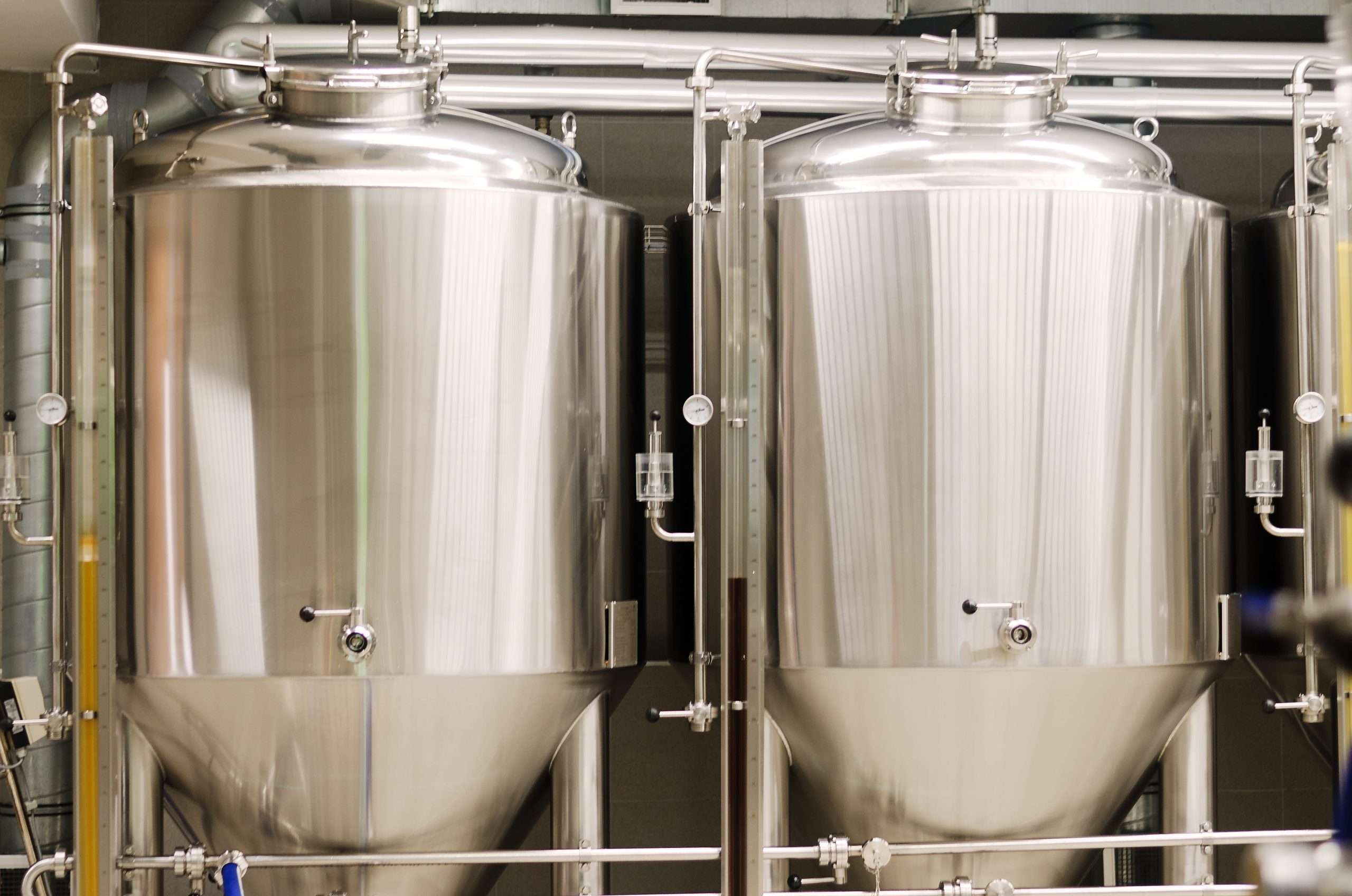 Bubble column fermenter